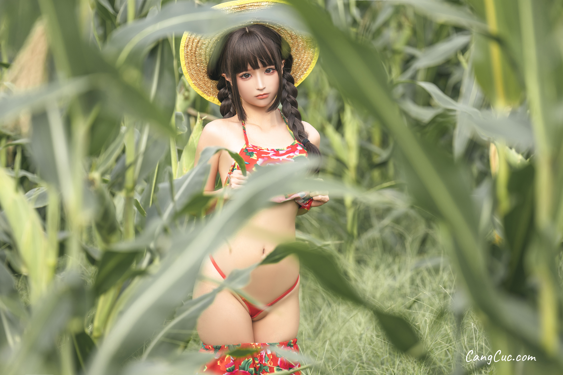 Coser@蠢沫沫 (chunmomo): The Story of Cornfield ảnh 13